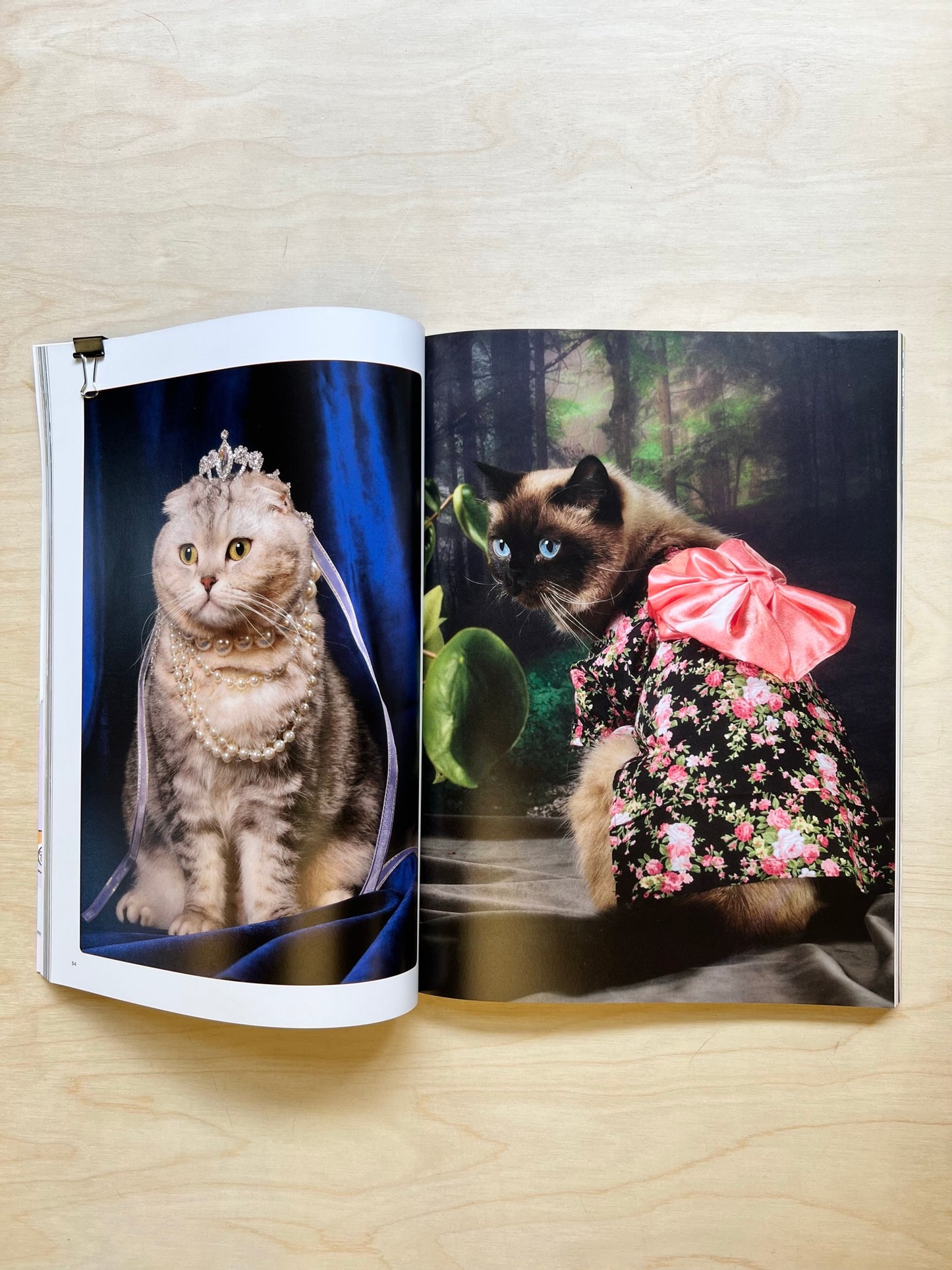 CATNIP Magazine -- Volume 1