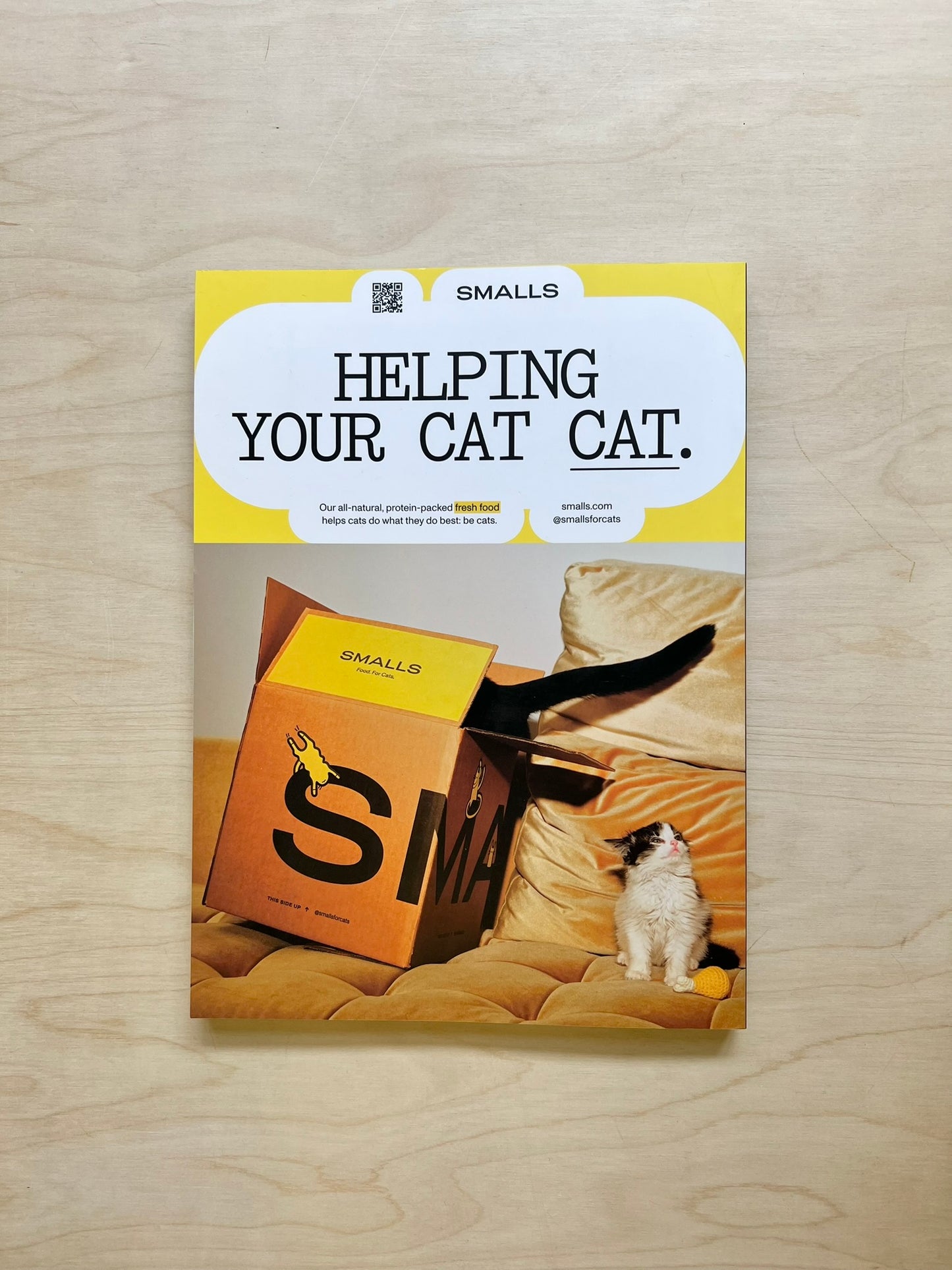 CATNIP Magazine -- Volume 1